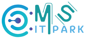 MS IT PARK - Market